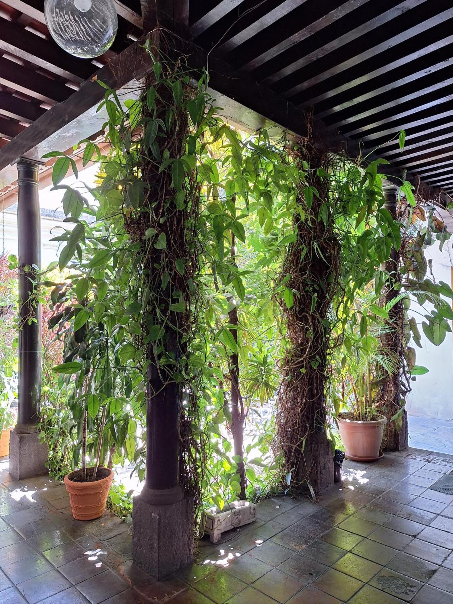 Hotel Spring Guatemala City Екстер'єр фото